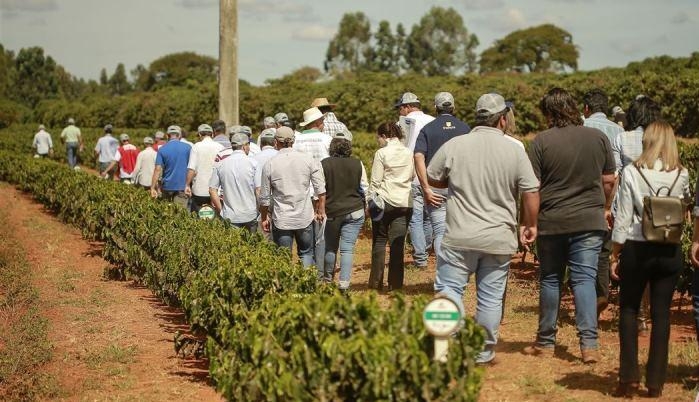 Resultados do Projeto Unidades Demonstrativas de Café para o Cerrado Mineiro serão divulgados na região em maio