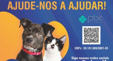 Associação Lagoense de Proteção Animal realiza em Lagoa Formosa a 1ª Cãominhada