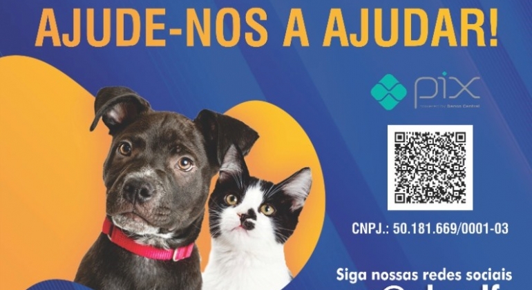 Associação Lagoense de Proteção Animal realiza em Lagoa Formosa a 1ª Cãominhada