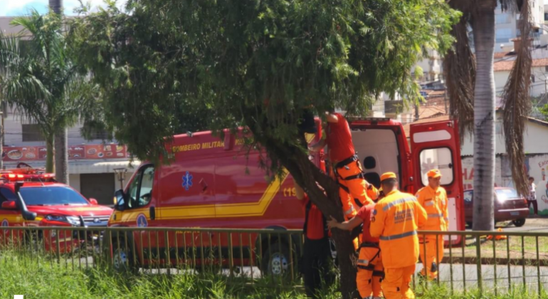 Mulher sobe em árvore às margens do Córrego do Monjolo em Patos de Minas e ameaça pular 