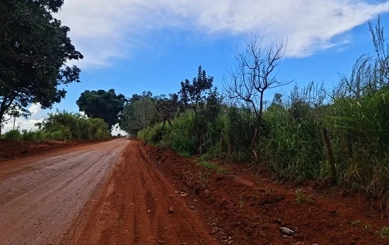 Trecho da estrada que liga Patos de Minas ao distrito de Alagoas fica interditado a partir desta terça-feira (27/06)