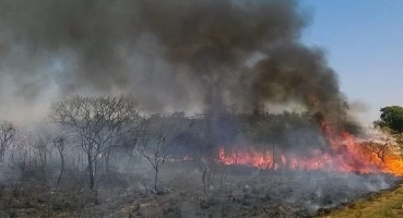 Incêndios florestais registram aumento de 20% no 1º semestre de 2023; afirma Corpo de Bombeiros de Patos de Minas 