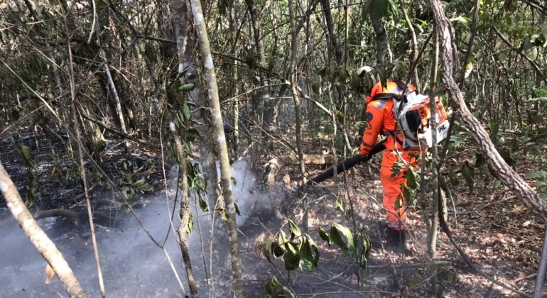 Ações para coibir incêndios criminosos são intensificadas pelo Governo de Minas