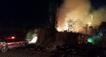 Mata do Catingueiro em Patos de Minas volta a ser incendiada; a ação pode ter sido criminosa