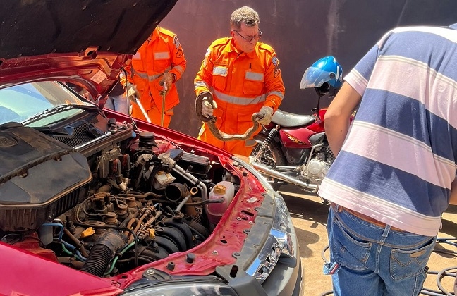 Mecânico abre capô de carro de cliente e encontra cobra enrolada no motor do veículo; veja vídeo