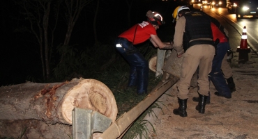 Lagoa Formosa - Corte de árvore comprometida na BR-354 confunde motoristas 