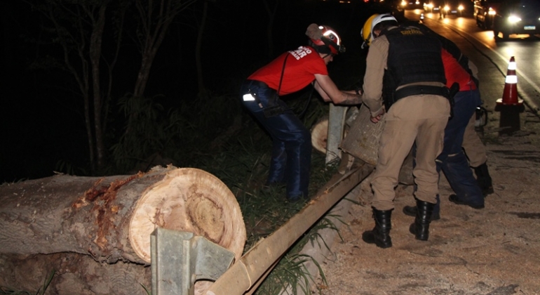 Lagoa Formosa - Corte de árvore comprometida na BR-354 confunde motoristas 