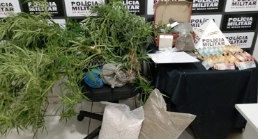 Polícia Militar de Lagoa Formosa apreende dezenas de pés de maconha, dinheiro e outros materiais usados no tráfico de drogas