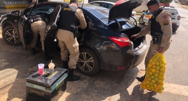 Patos de Minas - Motorista sem CNH é preso com bebidas e munição dentro de carro