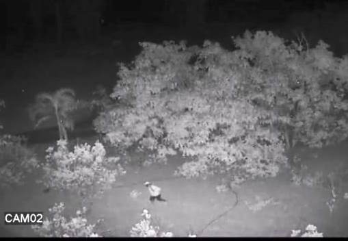 Imagens de câmeras de segurança flagram indivíduo furtando galinhas em sítio no município de Lagoa Formosa 