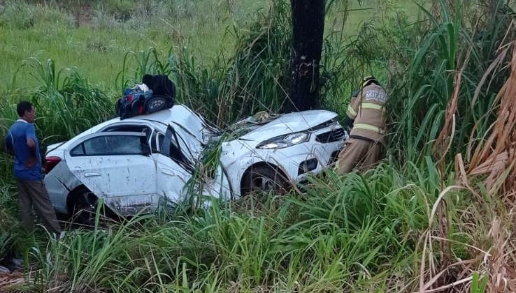 Três crianças escapam sem ferimentos após carro sofrer aquaplanagem, sair da pista e bater em árvore na BR-365