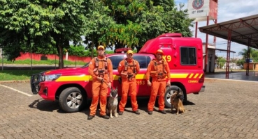 Presidente Olegário - Com cães farejadores de Uberaba, bombeiros retomam busca por desaparecido em mata