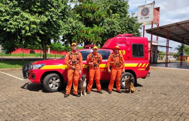 Presidente Olegário - Com cães farejadores de Uberaba, bombeiros retomam busca por desaparecido em mata