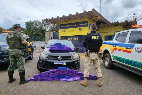 PRF e Polícia Militar apreendem  45 quilos de maconha sendo transportados em veículo na BR-365