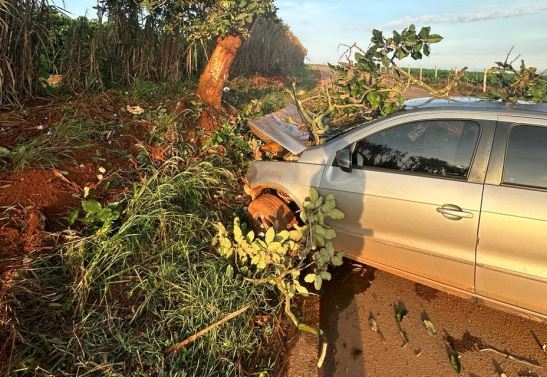 Jovem perde a vida em acidente na estrada de Campo Alegre; no município de Lagoa Formosa 