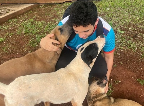 Jovem cuida de cães de rua e tem sonho em montar uma instituição para os animais, veja vídeo