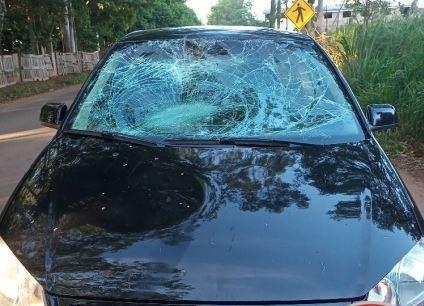 Patos de Minas - Ciclista é atropelada após sair de estrada vicinal e adentrar na rodovia da Baixadinha