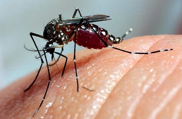 1.500 notificações de casos de dengue foram registrados na cidade de Patos de Minas em uma semana 