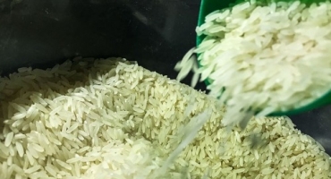 Governo Federal zera tarifa para importação de arroz até dezembro de 2024