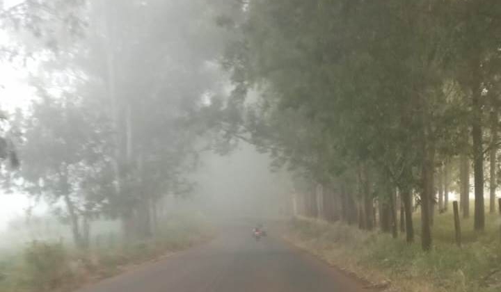 Alguns municípios do Alto Paranaíba amanheceram nesta quarta (29) com temperaturas abaixo dos 10º 