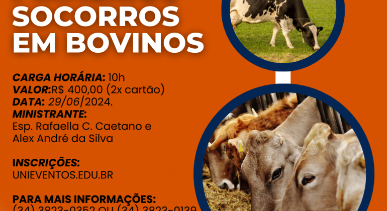 “Primeiros Socorros em Bovinos” é tema de curso no UNIPAM