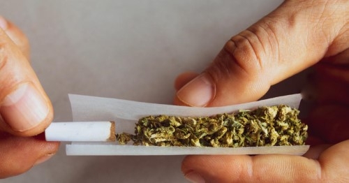 Supremo fixa 40g de maconha para diferenciar usuário de traficante