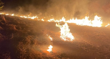 Três homens são presos após serem flagrados ateando fogo em vegetação às margens da MG-410