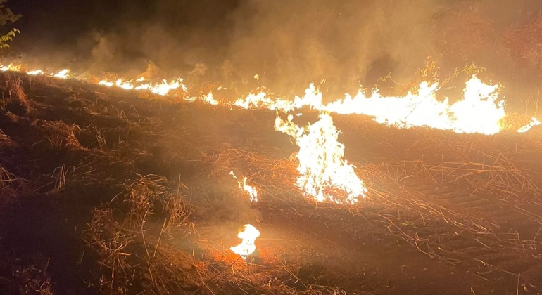 Três homens são presos após serem flagrados ateando fogo em vegetação às margens da MG-410