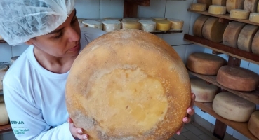 Festival do Queijo Artesanal de Minas bate recorde e atinge a marca de cinco toneladas de queijos vendidos 