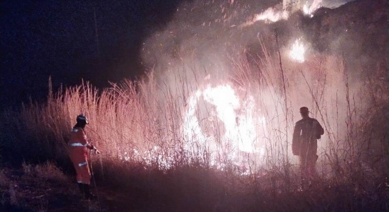 Incêndios de grandes proporções atingem Mato do Cachorro e MGC-354 e bombeiros combatem as chamas