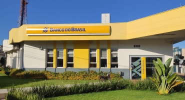 Banco do Brasil irá desembolsar R$ 260 bilhões no Plano Safra 2024/2025