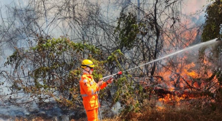 Corpo de Bombeiros de Patos de Minas combate Incêndio que ameaça plantação de café