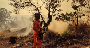 Coromandel - Corpo de Bombeiros combatem focos de incêndio no distrito de Pântano