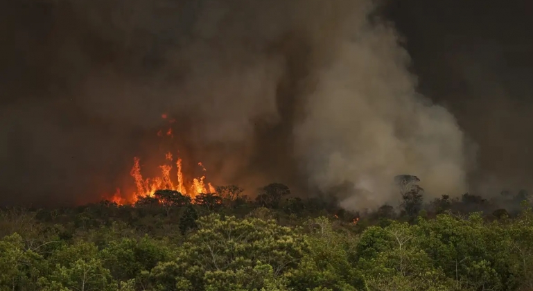 Incêndios podem ter afetado mais de 11 milhões de pessoas no Brasil