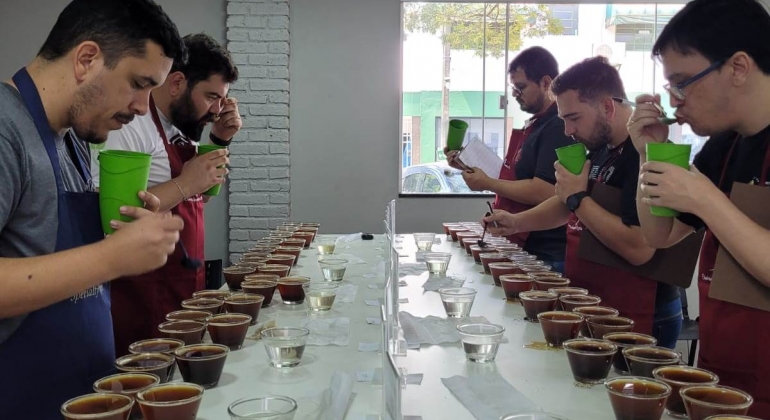 Emater-MG divulga classificados para a segunda etapa do Concurso de Qualidade dos Cafés de Minas Gerais 2024