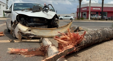 Condutora perde controle direcional, derruba coqueiro na Avenida Marabá e fica ferida 