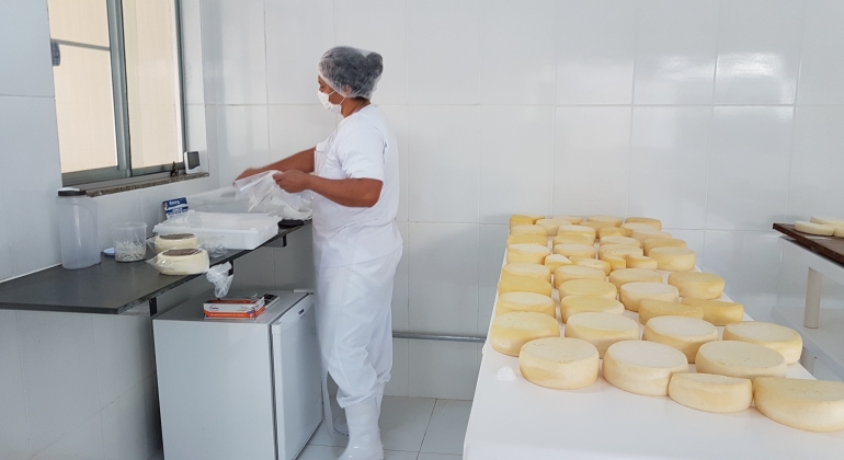  Emater-MG lança cartilha com o passo a passo das boas práticas de fabricação de queijos artesanais