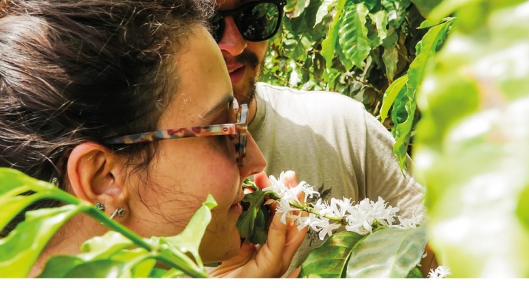 Rota do Café do Cerrado Mineiro promove experiências inaugurais em Patos de Minas e Cruzeiro da Fortaleza