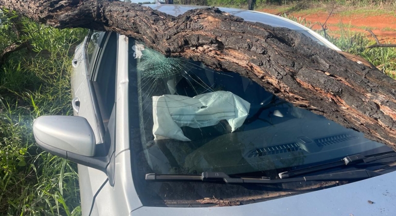 Presidente Olegário - Motorista cochila ao volante e bate veículo em árvore na MG-410 Presidente Olegário - Motorista cochila ao volante e bate veículo em árvore na MG-410
