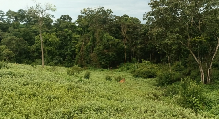 Polícia Militar de Lagoa Formosa e Carmo do Paranaíba recupera veículo furtado em Quintinos; após suspeito fugir de abordagem 