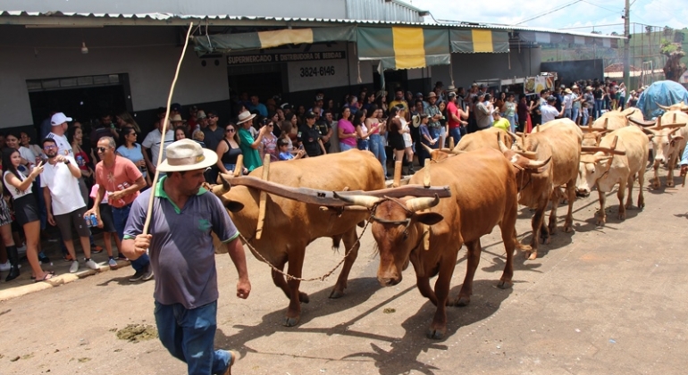 Dezenas de carros de bois participam de desfile no distrito de Monjolinho de Minas 