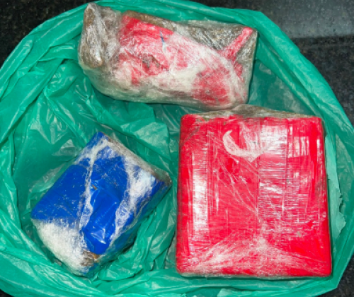PM prende homem por tráfico de drogas e apreende pés de maconha cultivados em estufa na cidade de Patos de Minas PM prende homem por tráfico de drogas e apreende pés de maconha cultivados em estufa na cidade de Patos de Minas