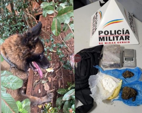 Polícia Militar de Patos de Minas apreende drogas e prende dois suspeitos de tráfico de drogas no bairro Padre Eustáquio Polícia Militar de Patos de Minas apreende drogas e prende dois suspeitos de tráfico de drogas no bairro Padre Eustáquio