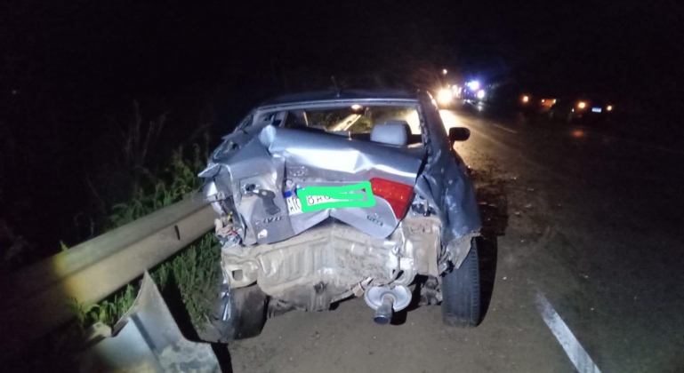 Tamanduá atravessa pista e provoca acidente envolvendo três veículos na BR-354 em Rio Paranaíba Tamanduá atravessa pista e provoca acidente envolvendo três veículos na BR-354 em Rio Paranaíba