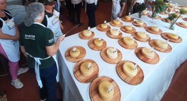 Temporada de concursos de queijos artesanais movimentam cidades mineiras Temporada de concursos de queijos artesanais movimentam cidades mineiras