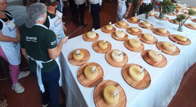 Temporada de concursos de queijos artesanais movimentam cidades mineiras Temporada de concursos de queijos artesanais movimentam cidades mineiras