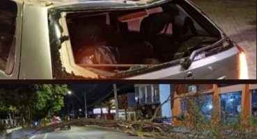 Patos de Minas - Árvore desaba sobre carro em movimento com criança e família na Avenida Paracatu Patos de Minas - Árvore desaba sobre carro em movimento com criança e família na Avenida Paracatu