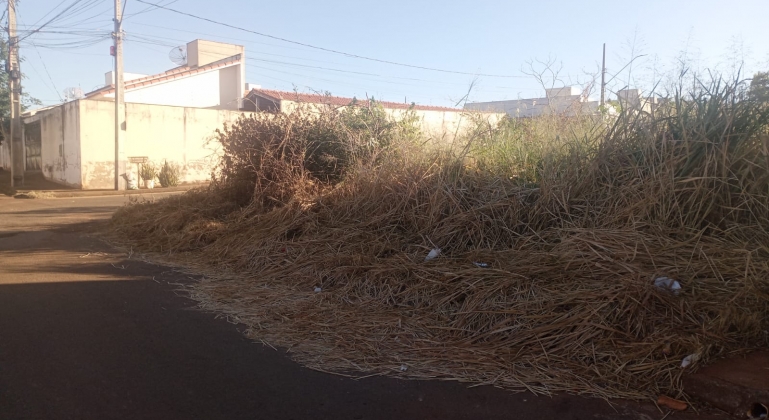 Prefeitura de Lagoa Formosa inicia campanha Prefeitura de Lagoa Formosa inicia campanha