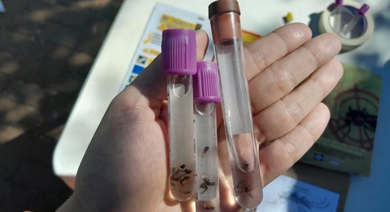 Prefeitura de Patos de Minas alerta sobre alto registro de casos de dengue no município 