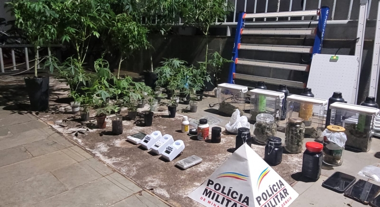Polícia Militar desmonta local usado para cultivo de maconha em estufa na cidade de Patos de Minas 
